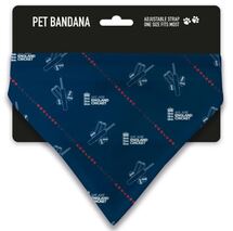 ECB Cricket Ball Diagonal Pet Bandana