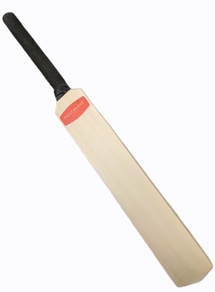 Trent Bridge Mini Bat