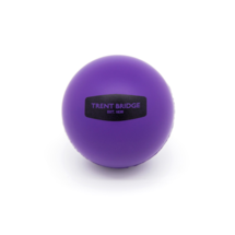 Trent Bridge Purple Foam Ball