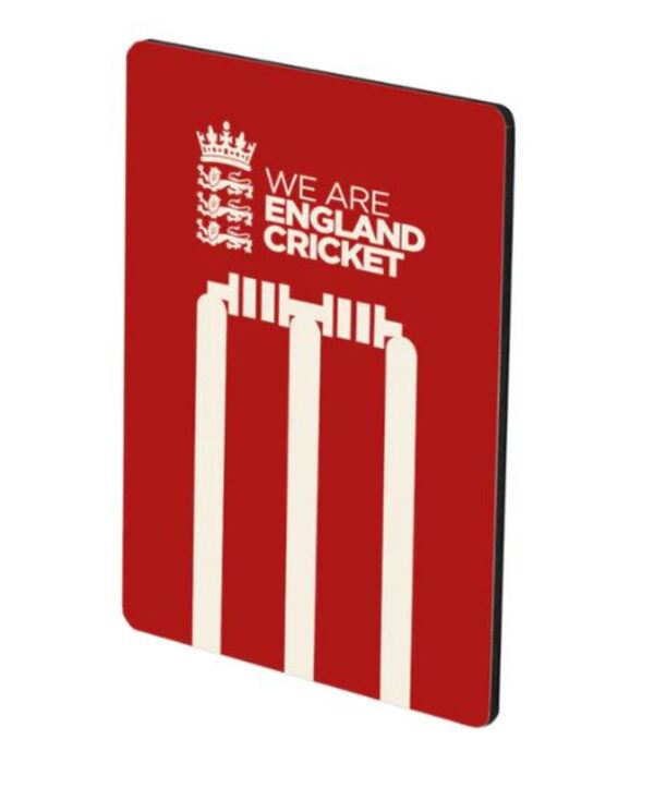 ECB Stumps Magnet