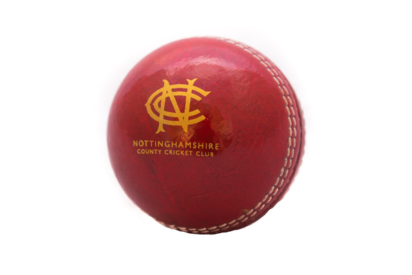NCCC Cricket Ball